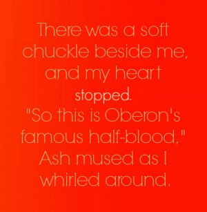 The Iron King (#1, The Iron Fey Series) by Julie Kagawa Quote 