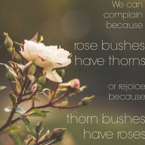 Every rose has its thorns quote