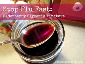 Stop the Flu: Elderberry Glycerin Tincture, recipe, DIY, homemade ...