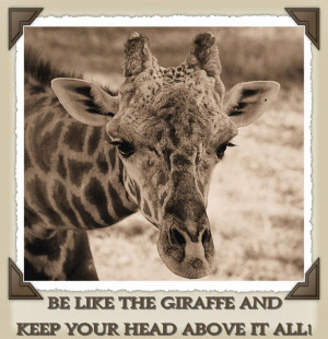 giraffe into giraffe quotes giraffe quotes giraffe quotes an ...