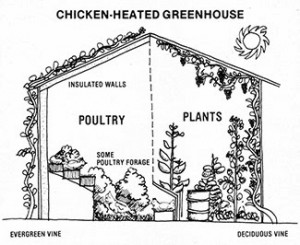 The diagram above depicts how chickens, buildings, and forests might ...