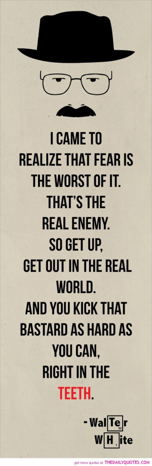 fear-is-the-worst-of-it-walter-white-breaking-bad-quotes-sayings ...