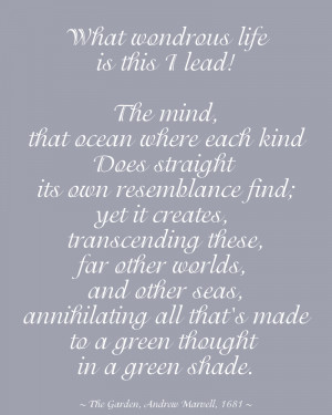 Hello: back again and so much has happened….