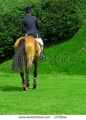 Thoroughbred Horse And Jockey