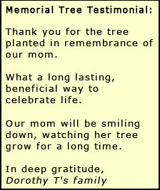 sympathy message ideas writing a sympathy message can be very ...