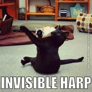 funny-cat-pics-invisible-harp