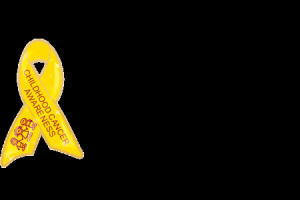childhood cancer facts childhood cancers are the 1 disease killer of ...