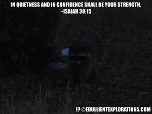 Magick?=!Meme? !3? = Fearless Trash Picking Raccoon + Biblical Wisdom ...