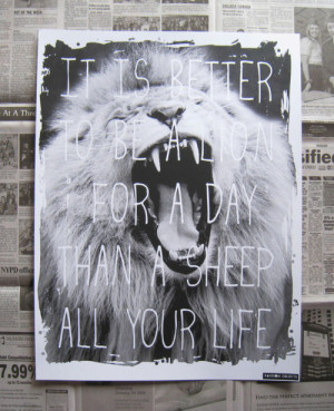 Lion Quotes Tumblr