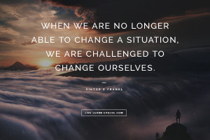 WHEN WE ARE NO LONGER ABLE TO CHANGE A SITUATION, WE ARE ...