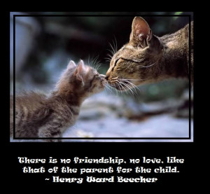 There is no friendship or love like that of a cat, is what he meant