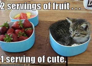 ... _pictures_you_have_two_servings_of_fruit_and_one_serving_of_cute.jpg