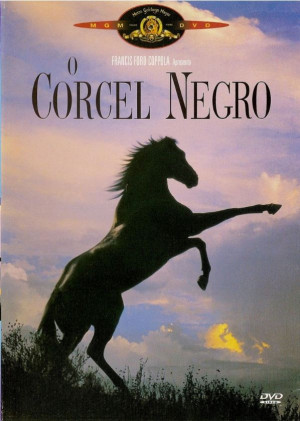 CORCEL NEGRO