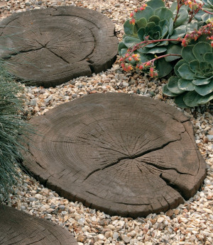 Stonemarket - Timberstone - Coppice Brown - Log Stepping Stone