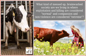 Why is sociopathic behaviour accepted in society?