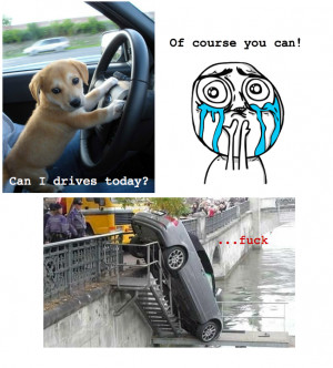 PROTIP: Press the ← and → keys to navigate the gallery, 'g' to ...