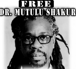 ... Shakur?: A Lifelong Activist in the New Afrikan (Black) Independence