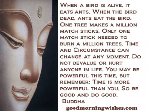 Buddha Quotes - Images - Morning Buddha Quotes - Images - Pictures