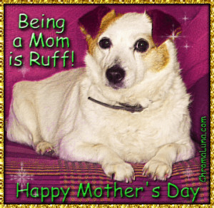 dog mother s day comments dogs regard their owners as