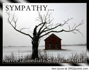 Sympathy-Quotes-Sympathy...-Gives-Immediate-Shelter-to-Grief.jpg