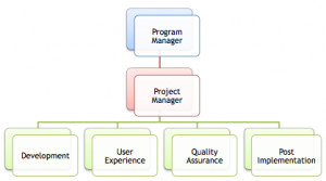 Project Team Roles and Structure