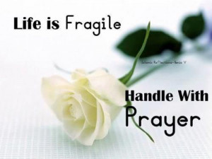 Life Is Fragile