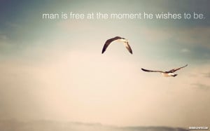 Man Is Free At The Moment He Wished To Be. ~ Birds Quote