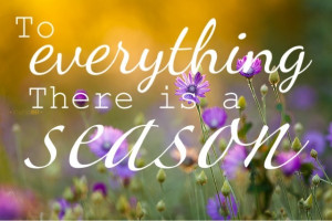 Inspiration Seasons Change...