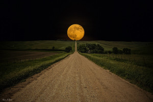 HQ] Road to Nowhere, Harvest Moon #25068