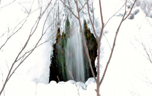 Funny Quotes Contact Us DMCA Notice