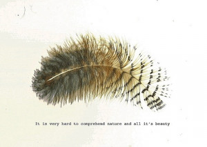 quotes, nature, sayings, feather, short, cute, witty | Inspirational ...