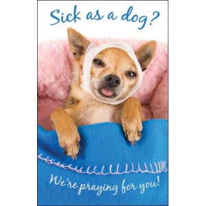 Sick as a Dog Scripture quote post cards
