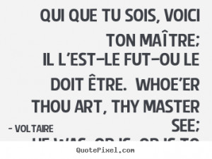 Voltaire Quotes Qui Que