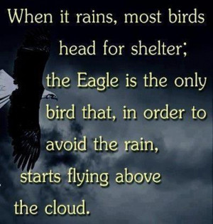 When it rains, most birds head for shelter; the Eagle is the only bird ...