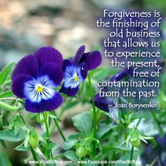 forgiveness #quotes http://www.VibeShifting.com