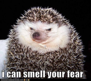 you are seeing my skin with deep eye so i can smell your fear with my ...