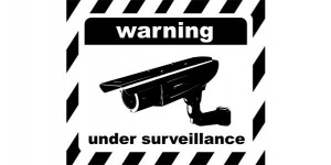 Failed utopia: The art of surveillance and simulating control: An ...