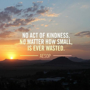 No act of kindness, no matter how small, is ever wasted.' - Aesop