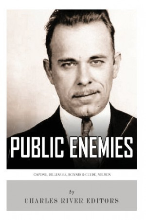 Public Enemies: Al Capone, John Dillinger, Bonnie & Clyde, and Baby ...