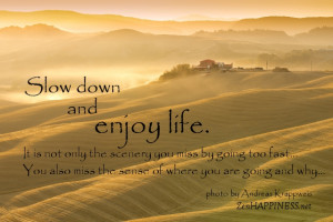 Slow down and enjoy life. It is not only the scenery you miss by going ...