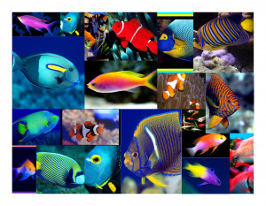 Watch out: Journo without sleep