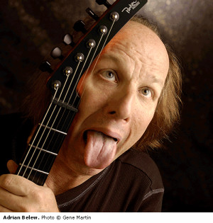 Related Pictures adrian belew adrian belew dust includes rarities ...