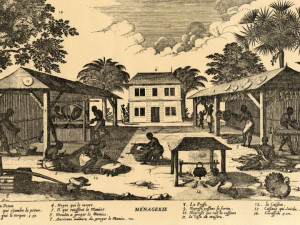 Woodcut engraving of a plantation in the early years of Saint-Domingue