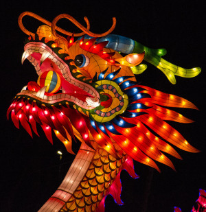 china_light_chinese_dragon_close_up_by_ainanas-d5t0tyj.jpg