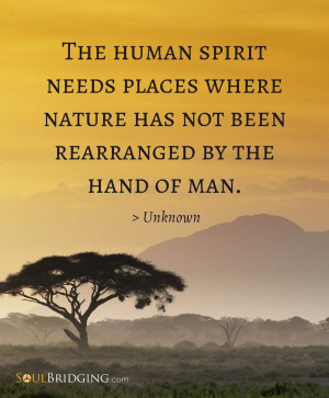 The human spirit needs places where nature has not been rearranged by ...
