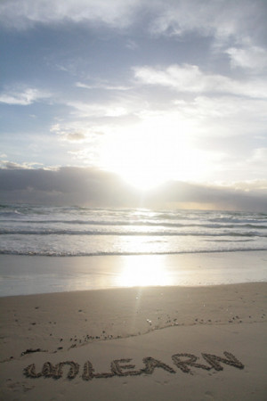 Leave a Reply Cancel reply