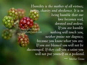 Buddhist+Quotes+About+Humility | charity and obedience – Mother ...