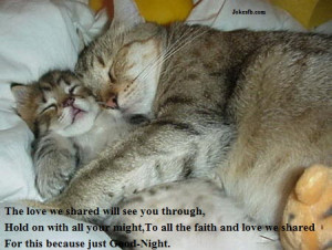 Good Night Quotes With Lovely Cute Little Cats