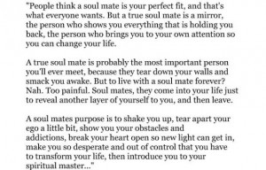 Soul mate...or spiritual master?? This is one INTERESTING & eye ...
