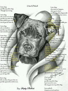 ... lovers mommy pit bull pretty pitbull pitti mama pitbull quotes animal